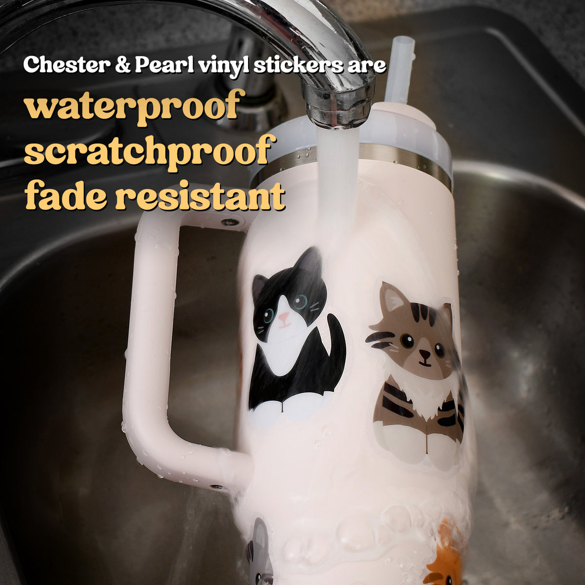 Looks Like My Cat! Orange tabby tuxedo cat sticker – Chester & Pearl