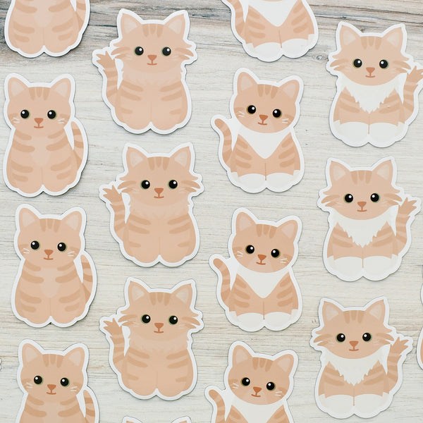 Looks Like My Cat! Buff cream tabby cat magnet