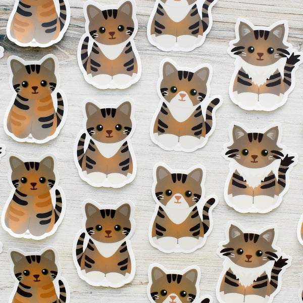 Looks Like My Cat! Torbie cat sticker