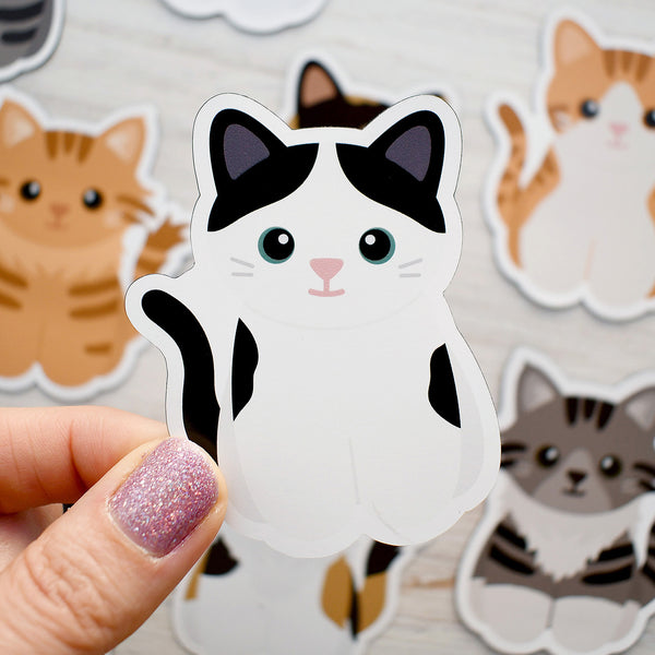 Looks Like My Cat! Black and white bicolor cat magnet