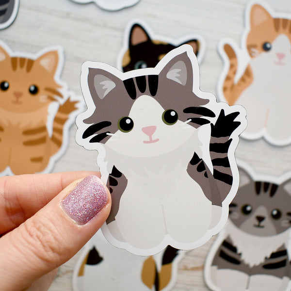 Looks Like My Cat! Maine Coon Long-haired brown tabby cat magnet