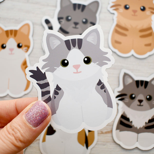 Looks Like My Cat! Long-haired gray tabby cat magnet