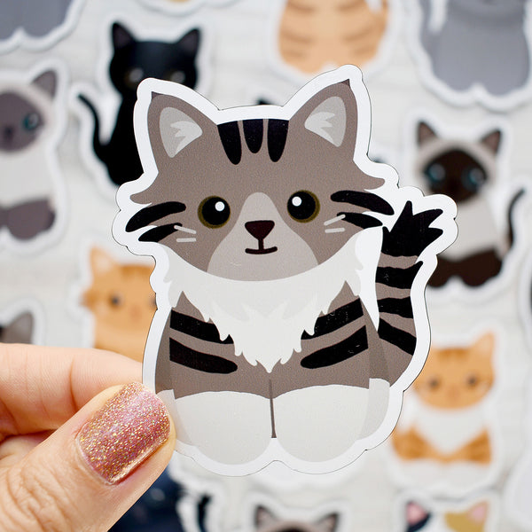 Looks Like My Cat! Maine Coon Long-haired brown tabby cat magnet