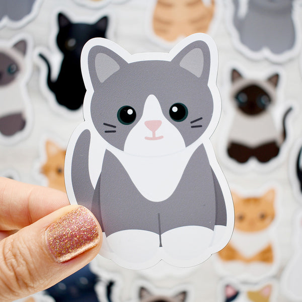 Looks Like My Cat! Gray tuxedo cat magnet