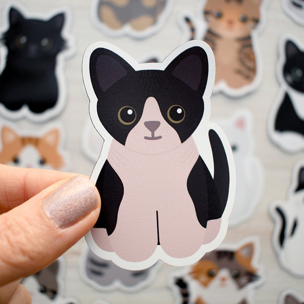 Looks Like My Cat! Sphynx hairless cat magnet