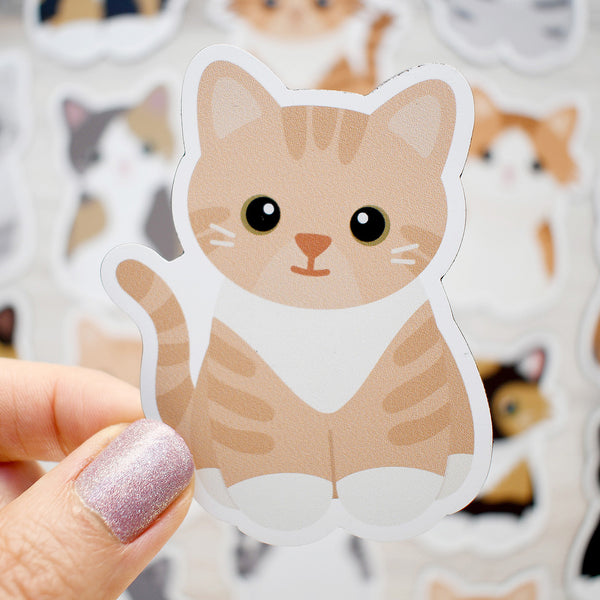 Looks Like My Cat! Buff cream tabby cat magnet