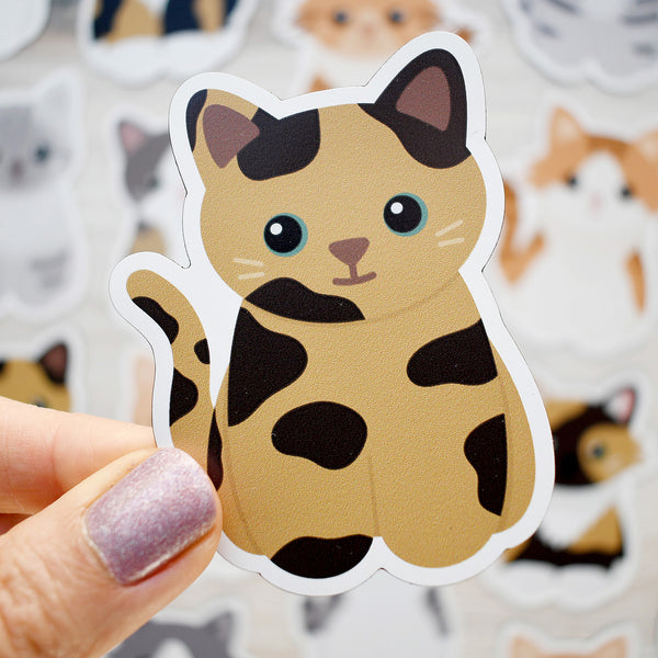 Looks Like My Cat! Tortoiseshell cat magnet