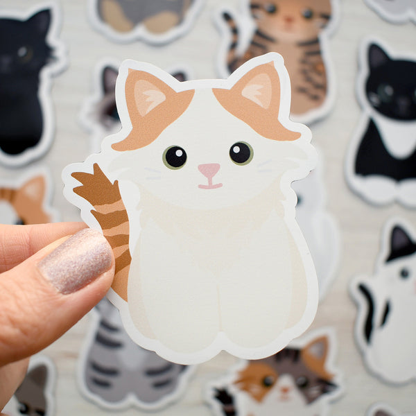 Looks Like My Cat! Long-haired orange tabby cat magnet