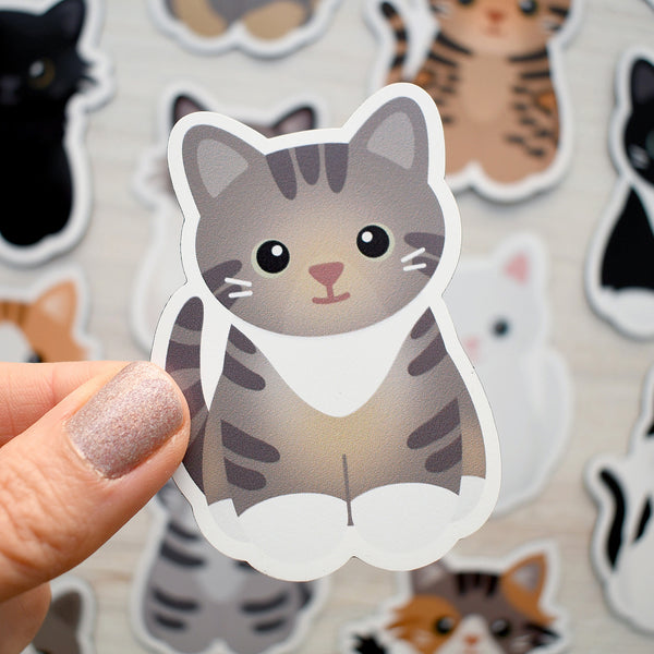 Looks Like My Cat! Dilute torbie cat magnet