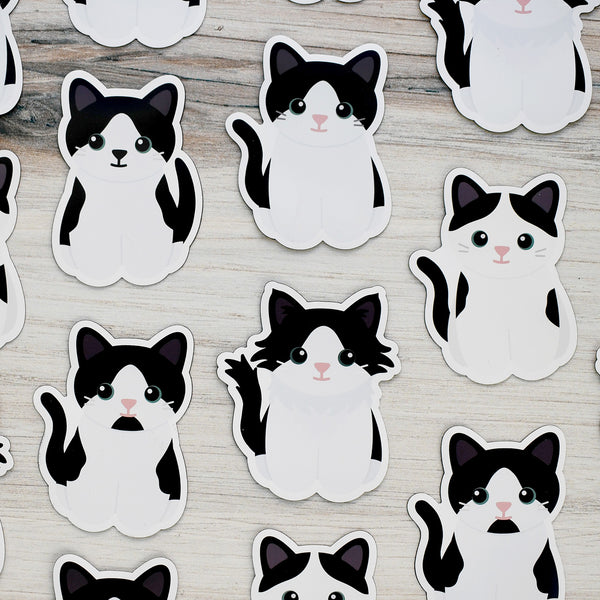 Looks Like My Cat! Black and white bicolor cat magnet