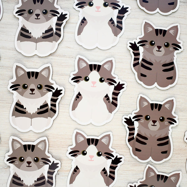 Looks Like My Cat! Maine Coon Long-haired brown tabby cat magnet