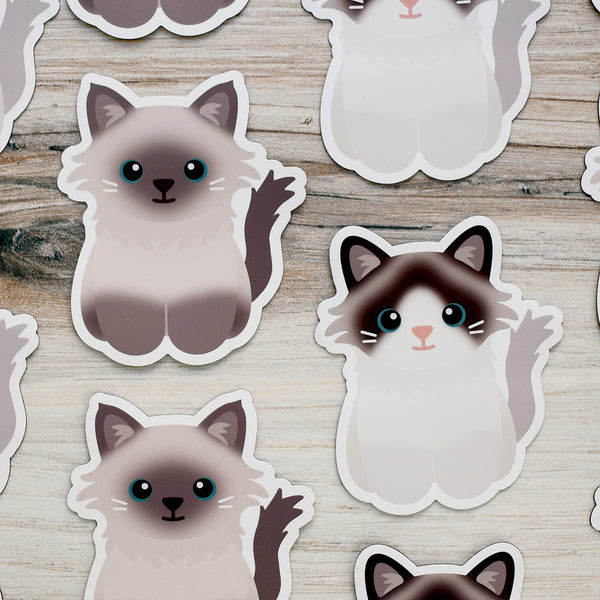 Looks Like My Cat! Ragdoll cat magnet