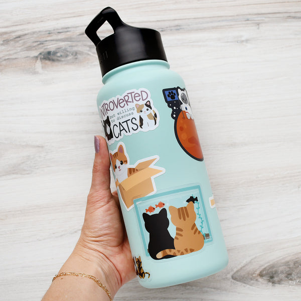 Black and Orange Tabby Cats 3-in. Clear Vinyl Sticker