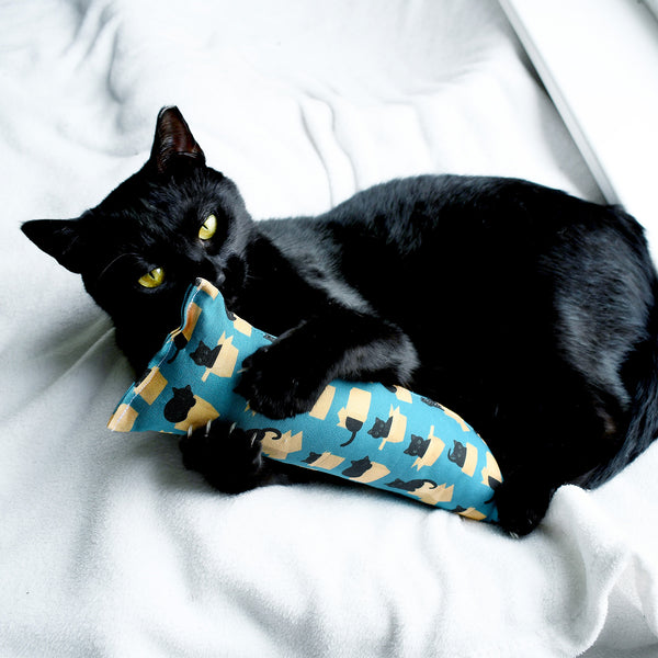 Black Cats in Boxes Kicker Cat Toy - Teal