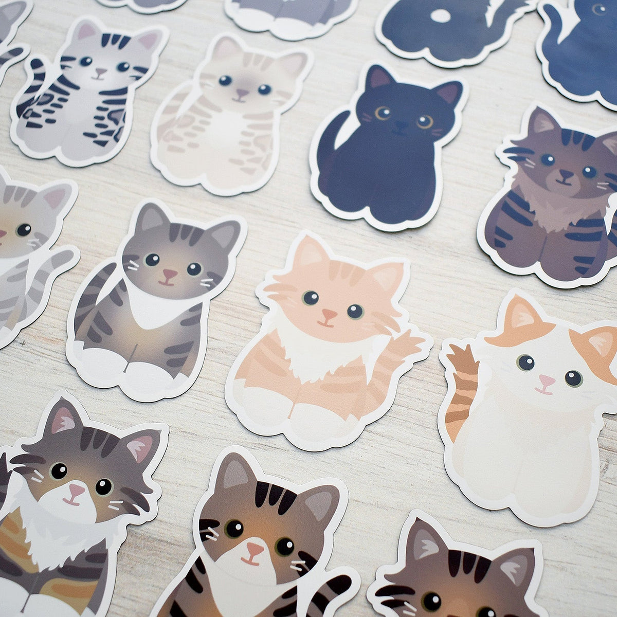 28 New Cats! – Chester & Pearl