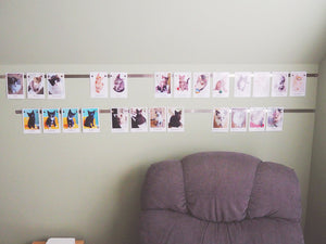 How I Created My Kitten Foster Room Setup [Fostering Cats part 2]