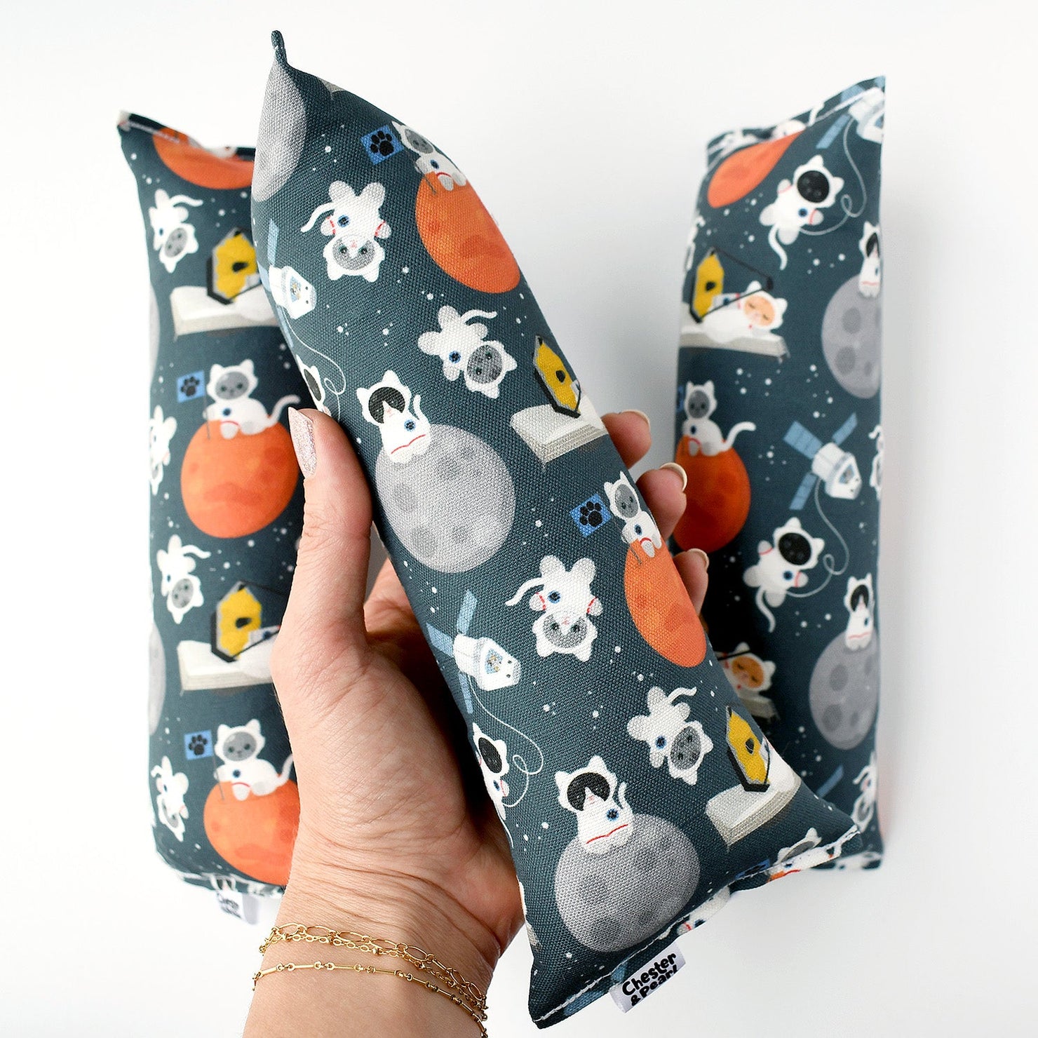 Cat Astronauts