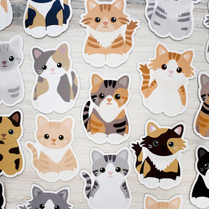 Looks Like My Cat! Magnets