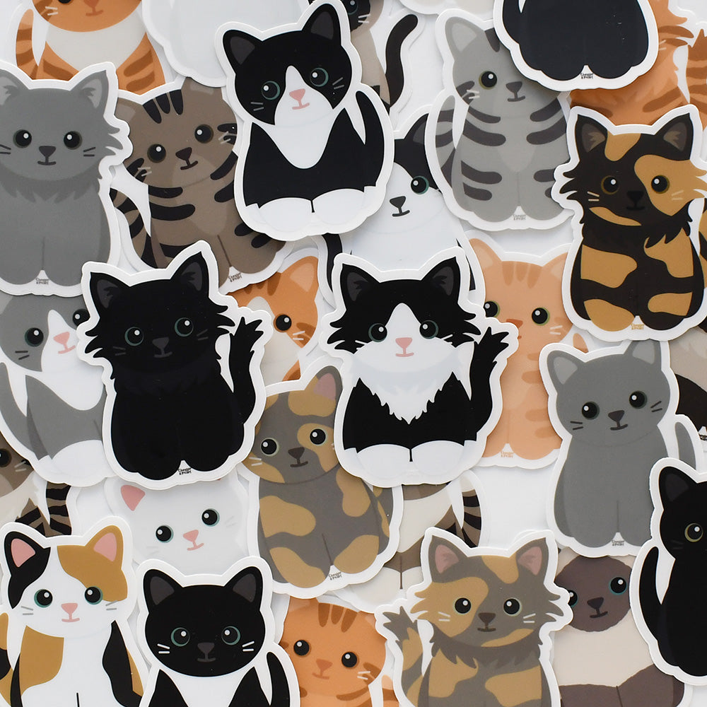 Looks Like My Cat!