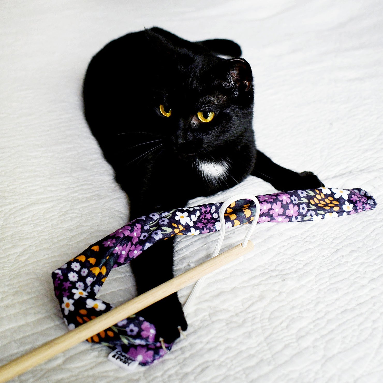 Chaser Cat Toys