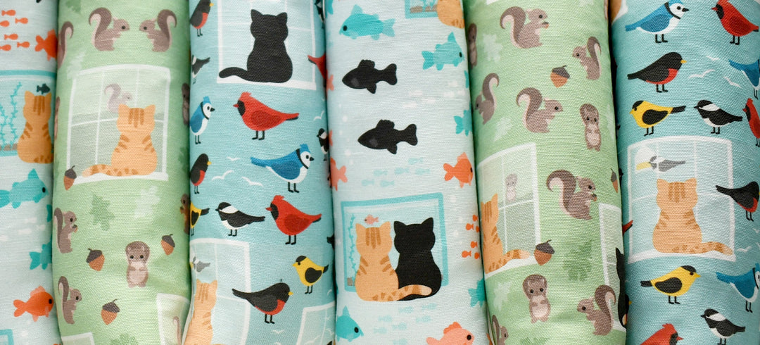 Cat Toys