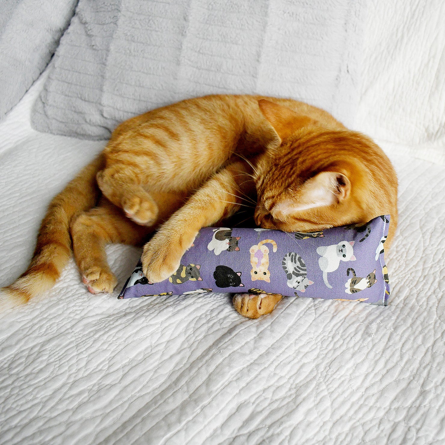 Kicker Cat Toys