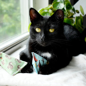 Pouncers Cat Toys
