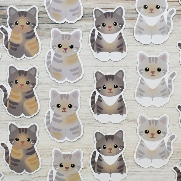 Looks Like My Cat! Dilute torbie cat magnet