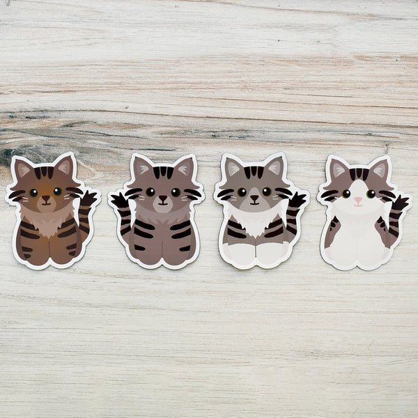 Looks Like My Cat! Maine Coon Long-haired brown tabby cat magnet