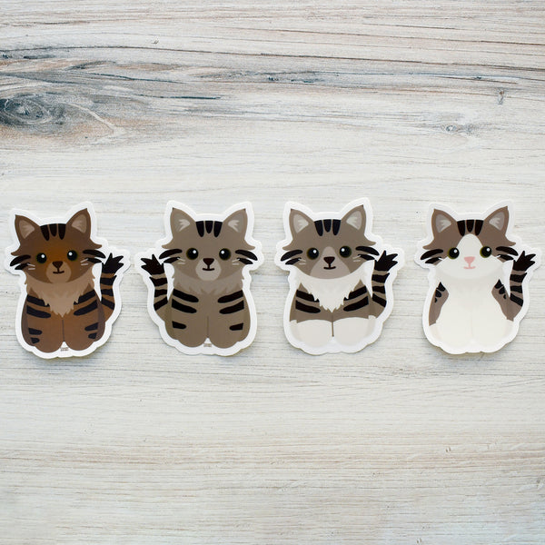 Looks Like My Cat! Maine Coon long-haired brown tabby cat sticker