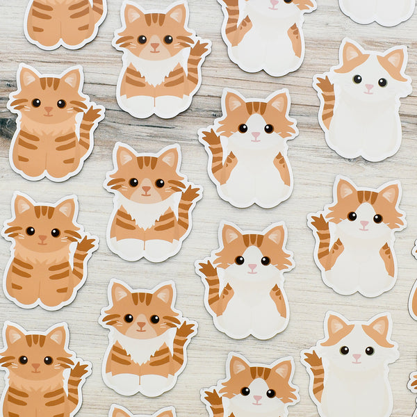 Looks Like My Cat! Long-haired orange tabby cat magnet
