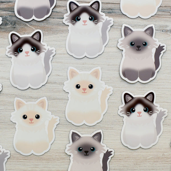 Looks Like My Cat! Ragdoll cat magnet