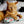 Festive Felines Kicker Cat Toy - mint