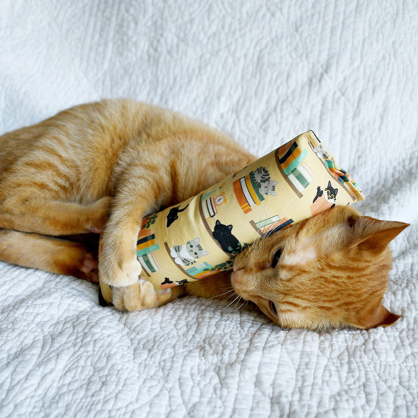 Book Lovers Kicker Cat Toy