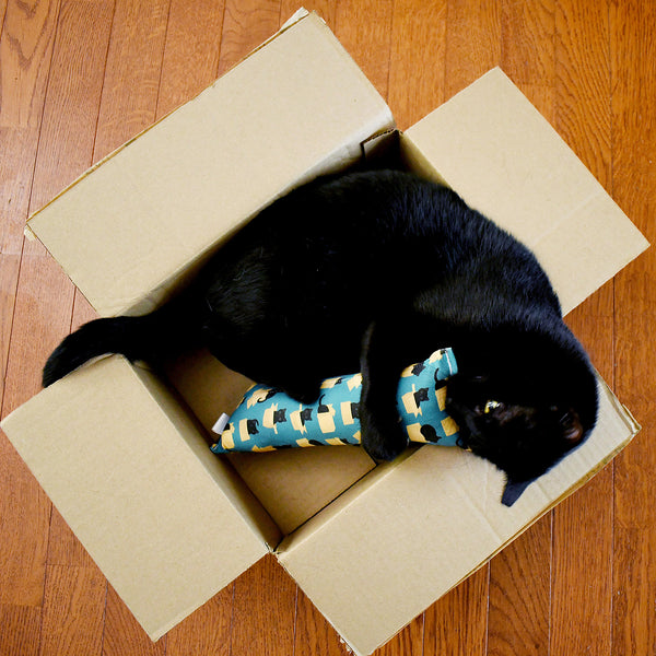 Black Cats in Boxes Kicker Cat Toy - Teal