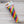 PURRide Kicker Pride Cat Toy