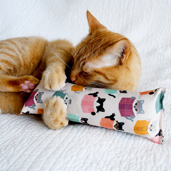 Reading Cats Kicker Cat Toy