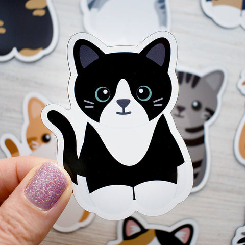 Looks Like My Cat! Black tuxedo with white blaze and black nose cat magnet