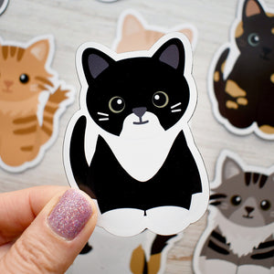 Looks Like My Cat! Black tuxedo with gotee cat magnet