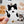 Looks Like My Cat! Black and white bicolor cat magnet