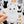 Looks Like My Cat! White cat magnet