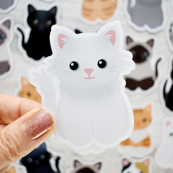 Looks Like My Cat! White cat magnet