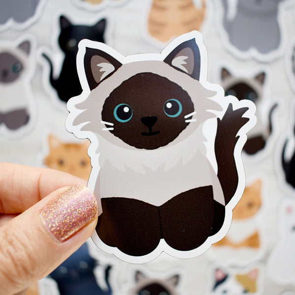 Looks Like My Cat! Seal point Siamese cat magnet