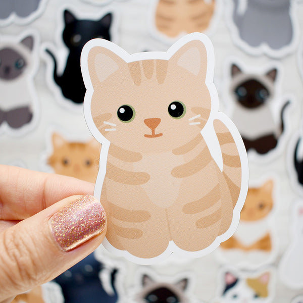 Looks Like My Cat! Buff cream tabby cat magnet