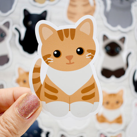 Looks Like My Cat! Orange tuxedo cat magnet