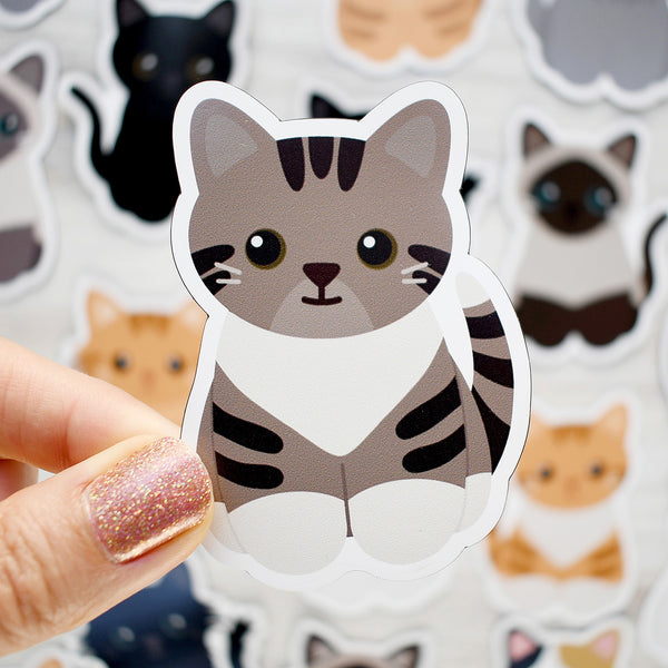 Looks Like My Cat! Brown tuxedo tabby cat magnet