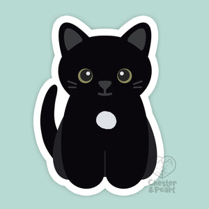 Looks Like My Cat! Black cat with white locket magnet