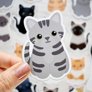 Looks Like My Cat! Gray tabby cat magnet