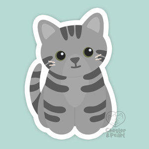 Looks Like My Cat! Gray tabby cat magnet
