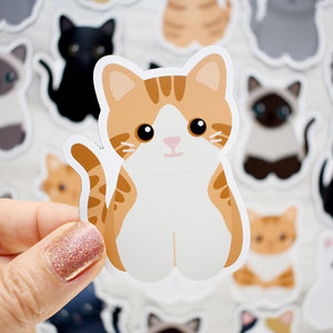 Looks Like My Cat! Creamsicle white and orange tabby cat magnet